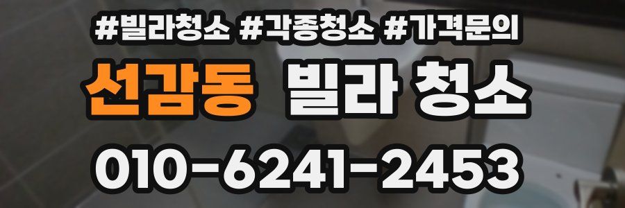 선감동 빌라 청소