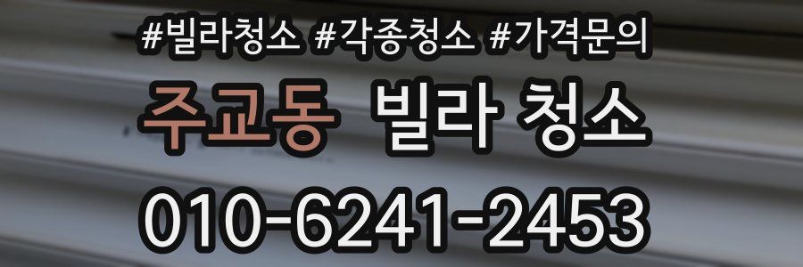 주교동 빌라 청소