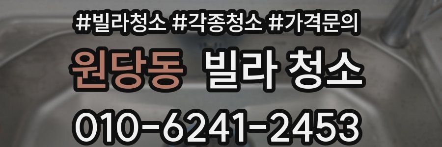 원당동 빌라 청소