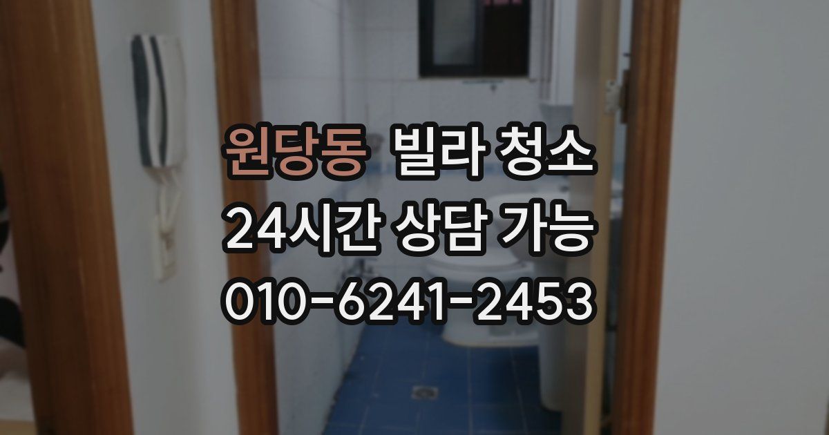 원당동 빌라 청소