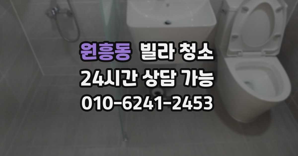 원흥동 빌라 청소