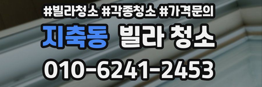 지축동 빌라 청소