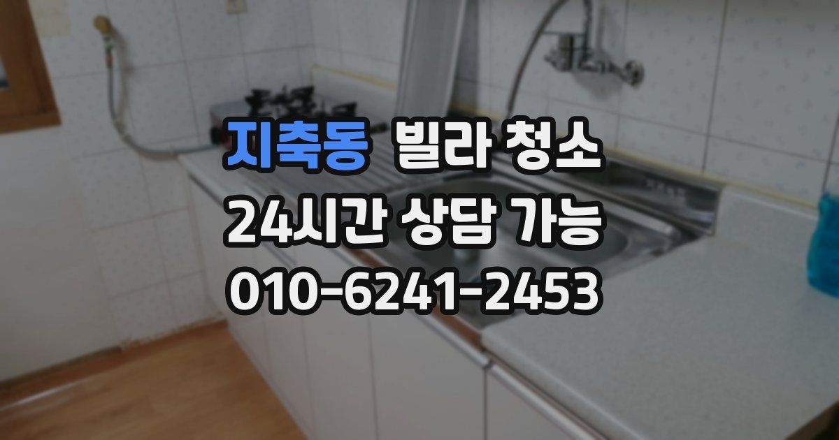 지축동 빌라 청소