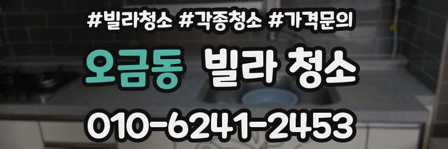 오금동 빌라 청소