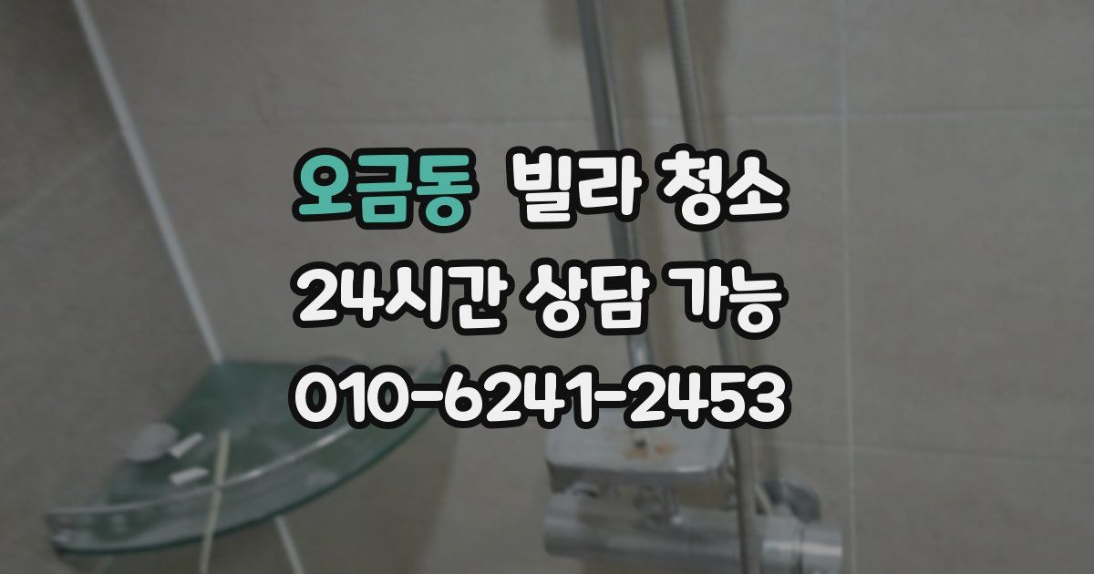 오금동 빌라 청소