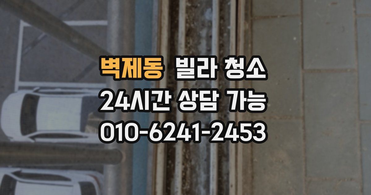 벽제동 빌라 청소