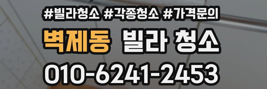 벽제동 빌라 청소