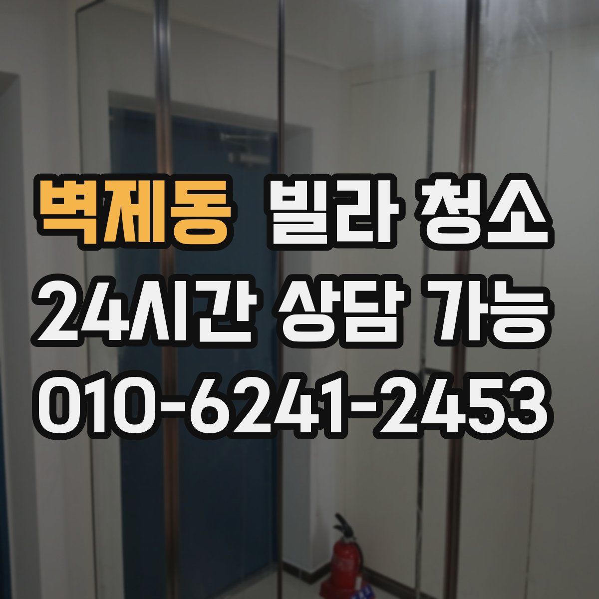 벽제동 빌라 청소