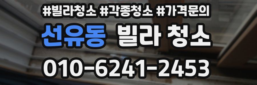 선유동 빌라 청소