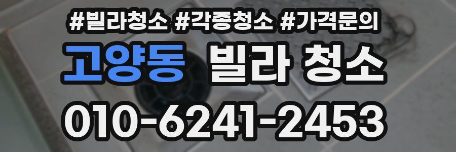 고양동 빌라 청소