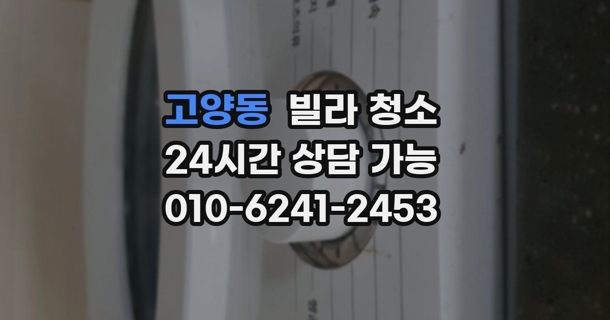 고양동 빌라 청소