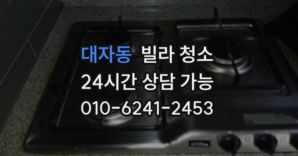 대자동 빌라 청소