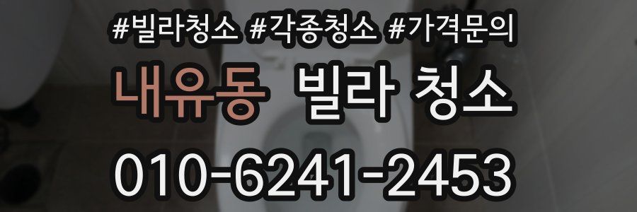 내유동 빌라 청소