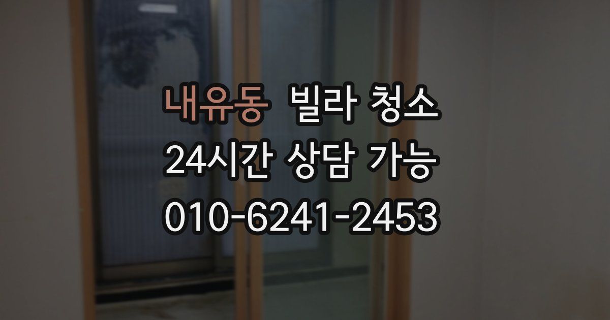 내유동 빌라 청소