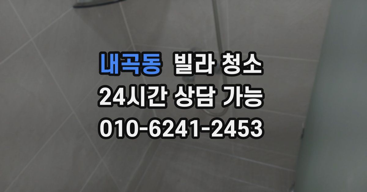 내곡동 빌라 청소