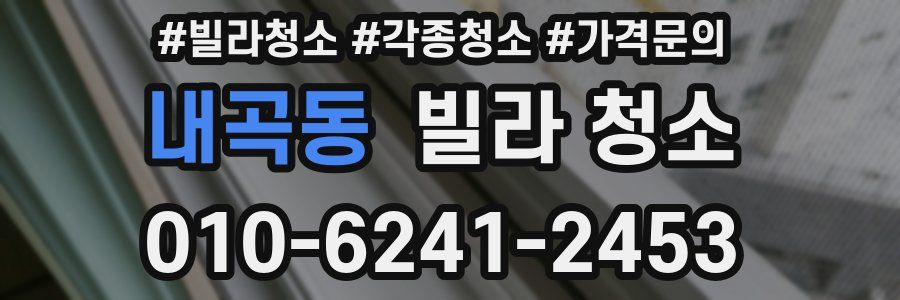 내곡동 빌라 청소