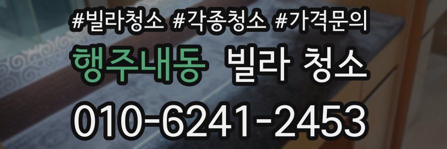 행주내동 빌라 청소