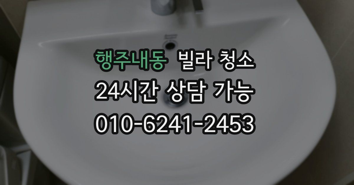 행주내동 빌라 청소