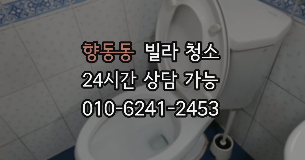 향동동 빌라 청소