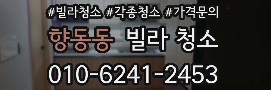 향동동 빌라 청소