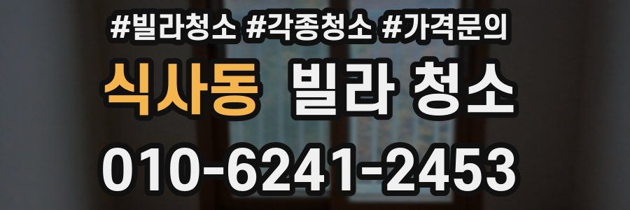 식사동 빌라 청소