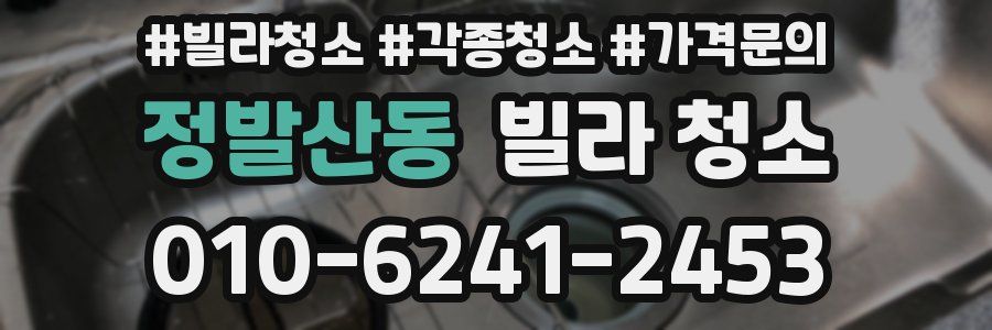 정발산동 빌라 청소