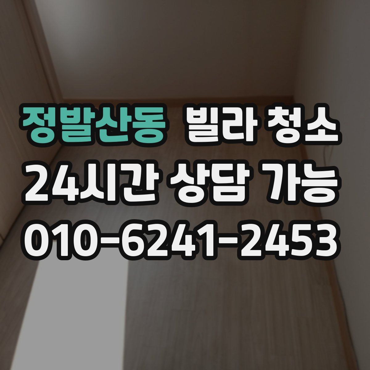 정발산동 빌라 청소