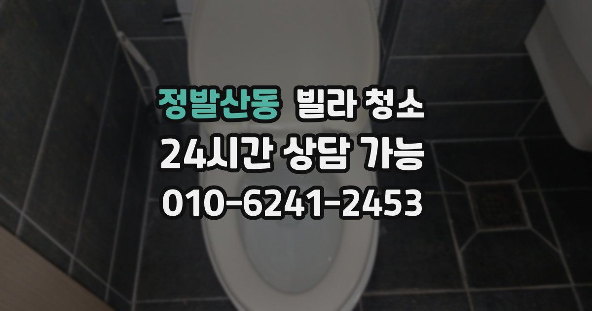 정발산동 빌라 청소