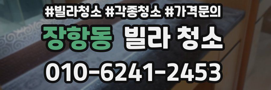 장항동 빌라 청소