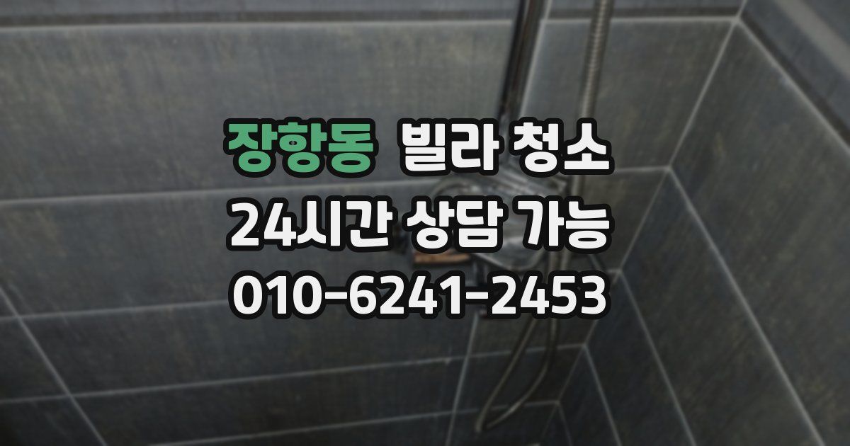 장항동 빌라 청소