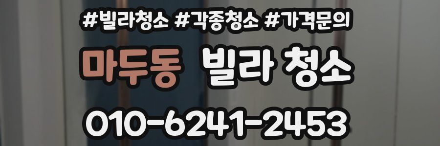 마두동 빌라 청소