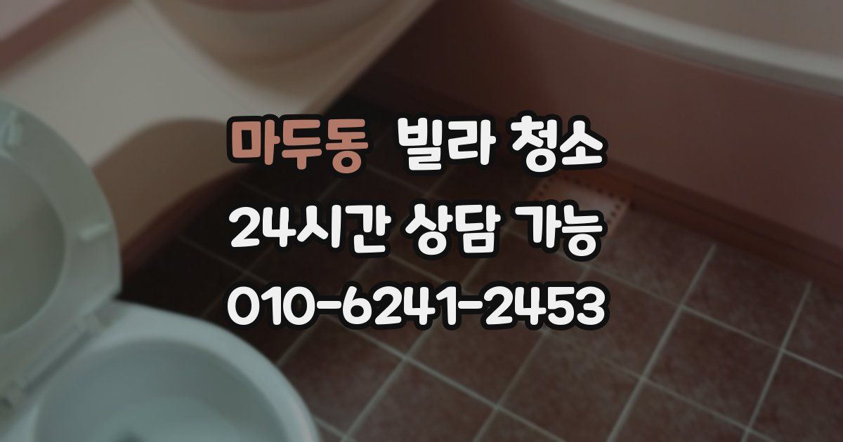 마두동 빌라 청소