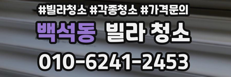 백석동 빌라 청소