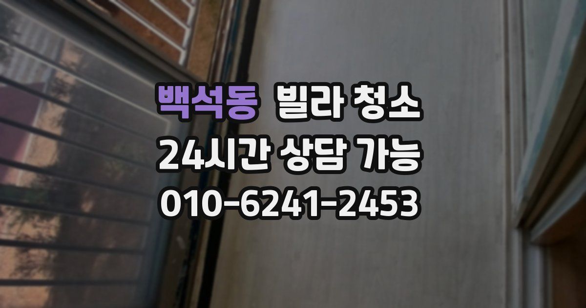 백석동 빌라 청소