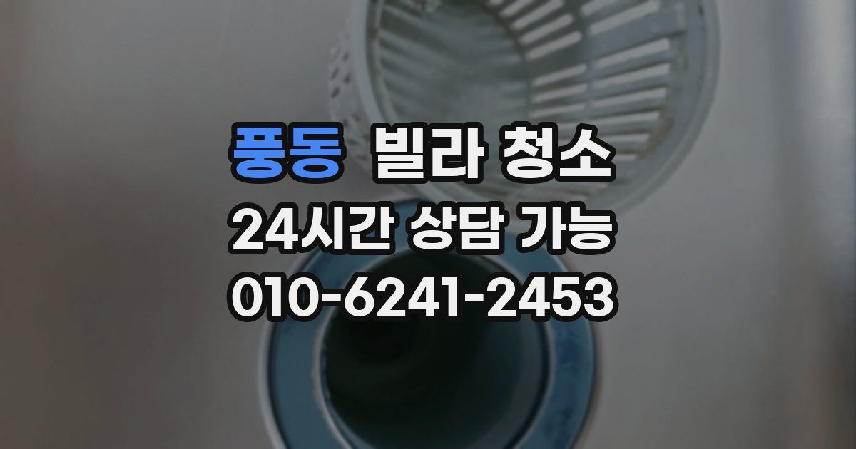 풍동 빌라 청소
