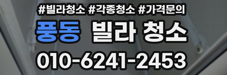 풍동 빌라 청소