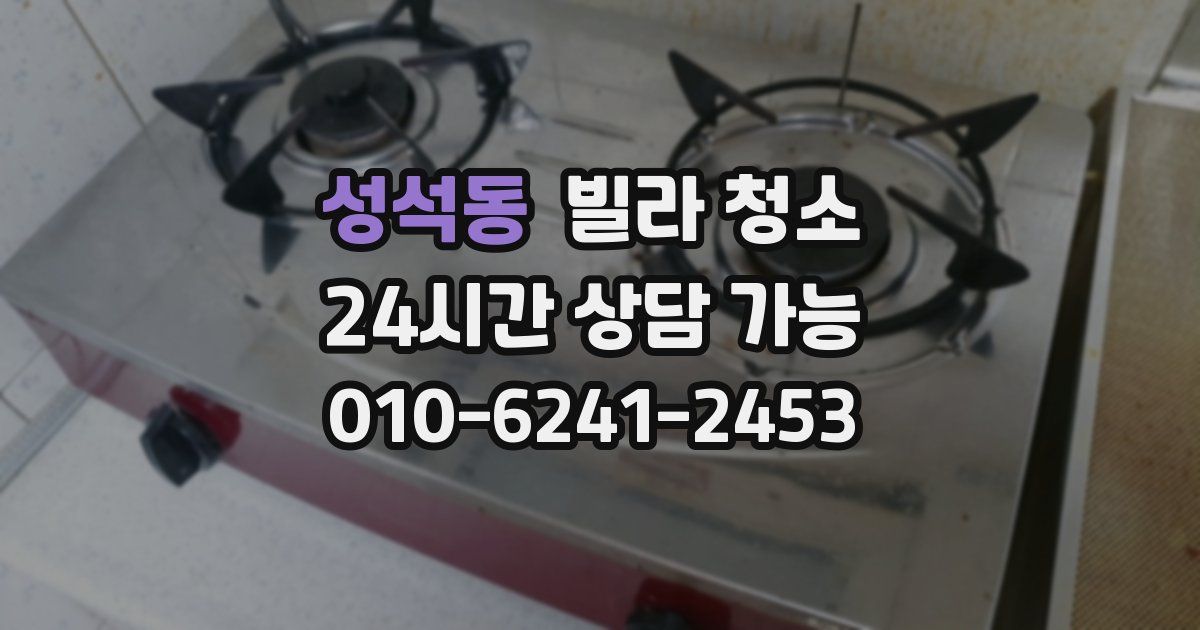 성석동 빌라 청소