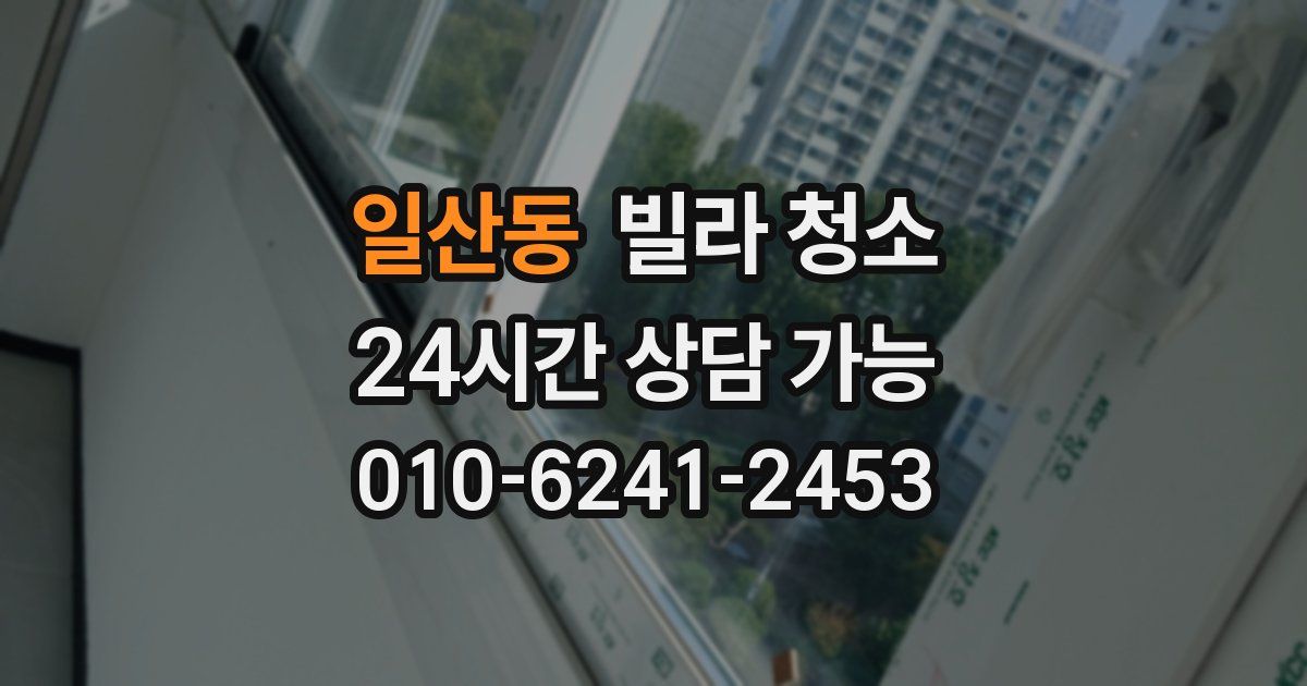 일산동 빌라 청소