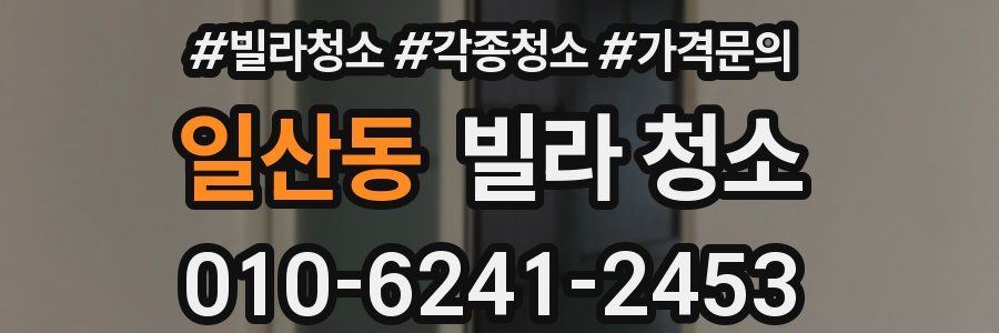 일산동 빌라 청소