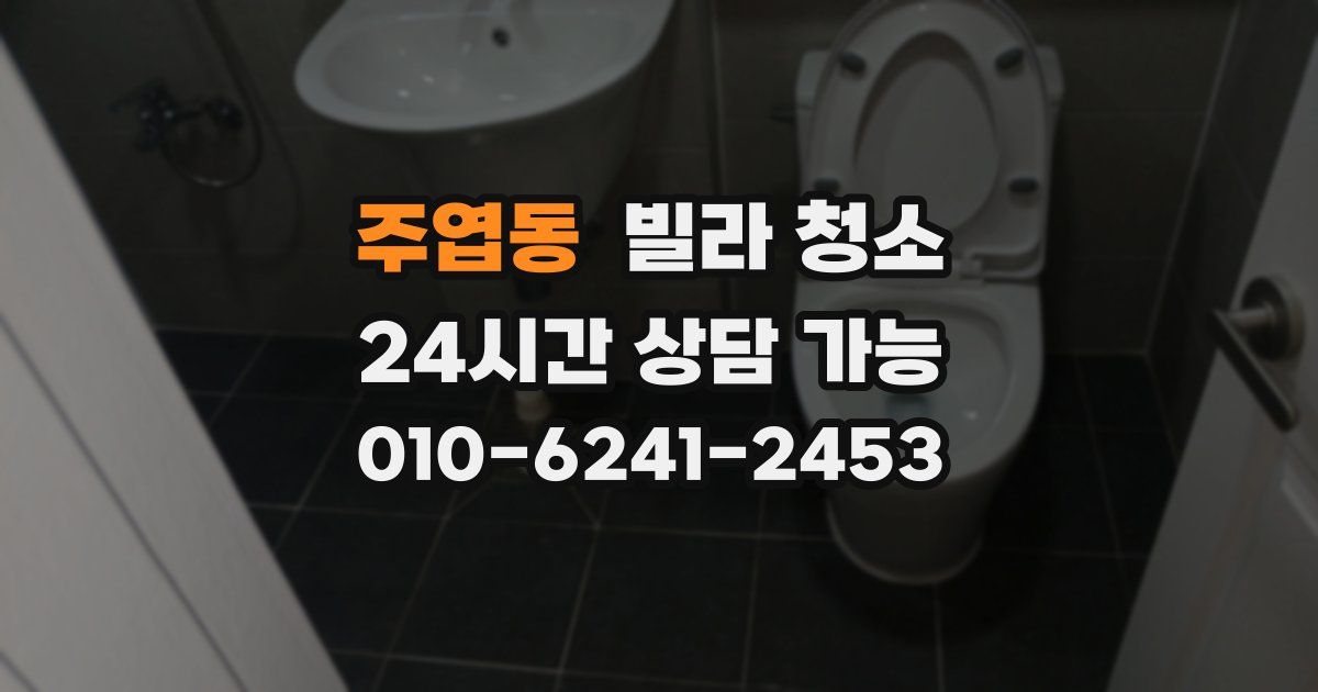 주엽동 빌라 청소