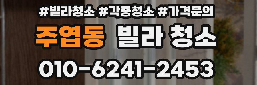 주엽동 빌라 청소