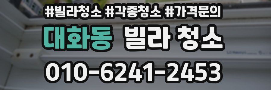 대화동 빌라 청소