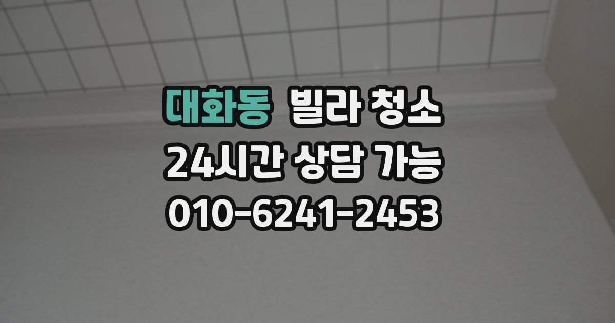 대화동 빌라 청소