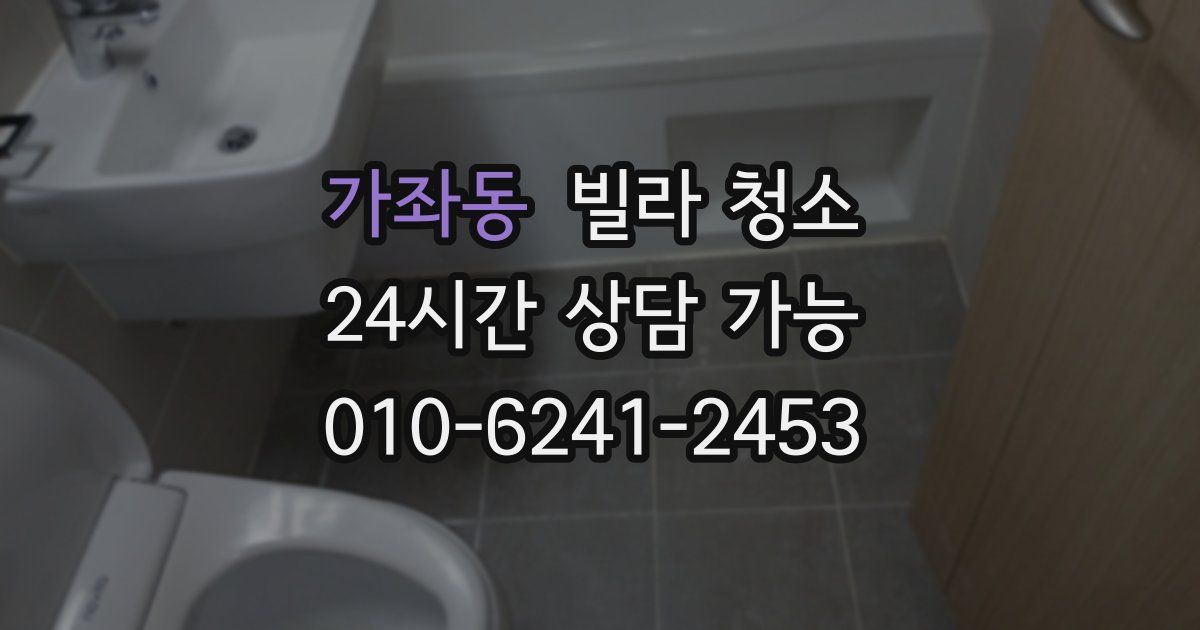 가좌동 빌라 청소