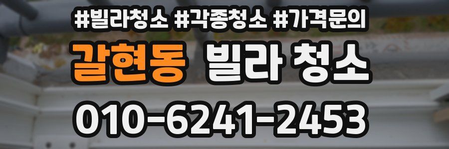 갈현동 빌라 청소