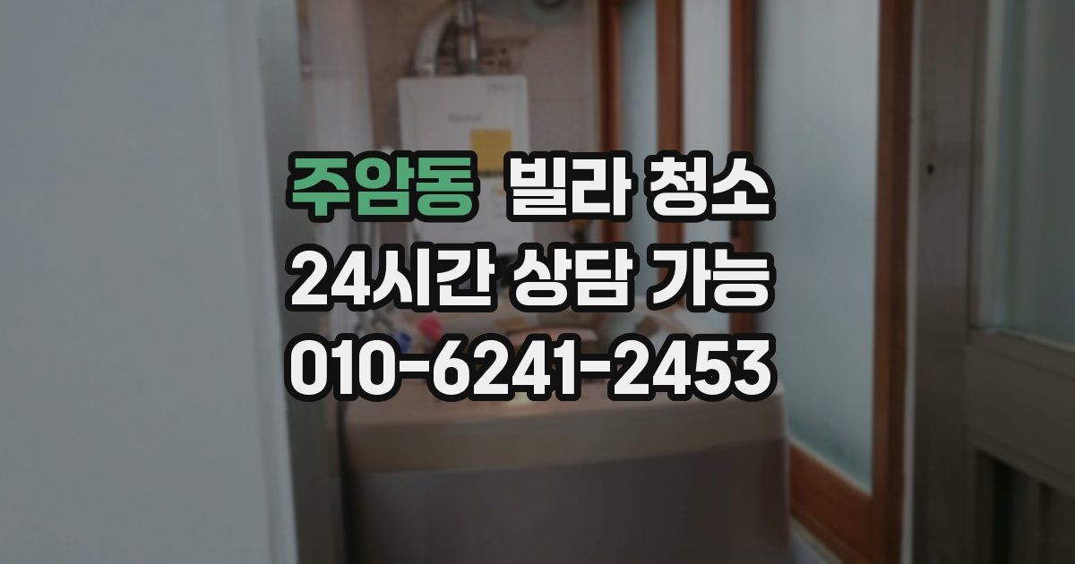 주암동 빌라 청소