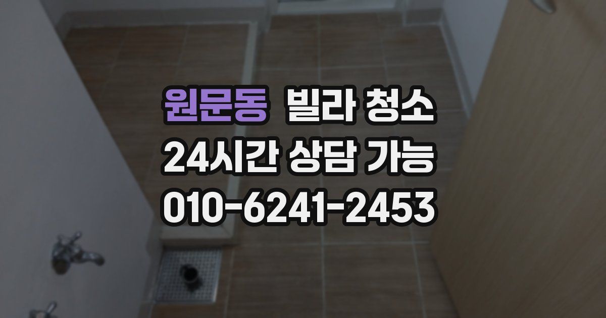 원문동 빌라 청소