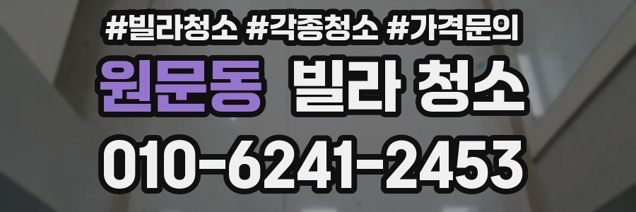 원문동 빌라 청소