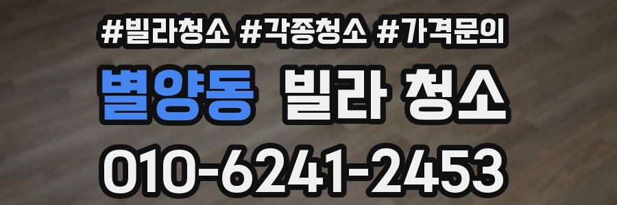 별양동 빌라 청소