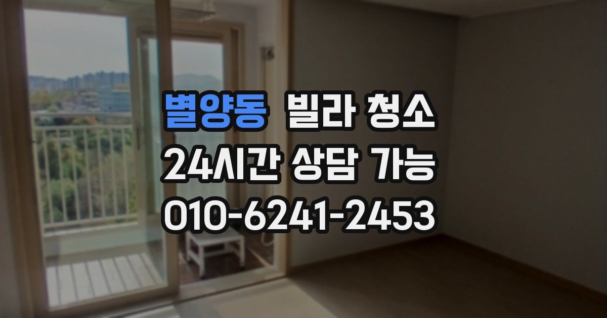 별양동 빌라 청소